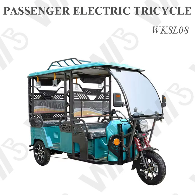 New Style Passenger Electric Tricycle For Adult Long Distance 100KM 800W Power Fat Tire Passenger Electric Tricycle Cargo