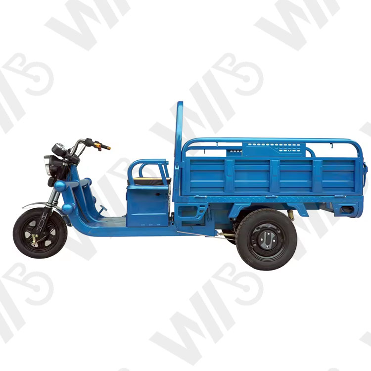 2024 Wholesale High Quality Three Wheels Electric Truck Cargo Tricycle Motorcycle