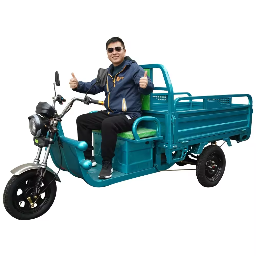 Hot Selling Chinese Cheaper New Model Three Wheel Electric Tricycle Cargo Truck