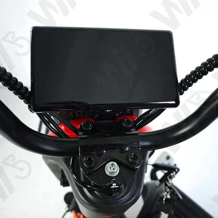 800w 1000w 48v 60v 20ah Electric Passager Tricycle Tourist Fashion Tricycle Scooter with Lead Acid Battery