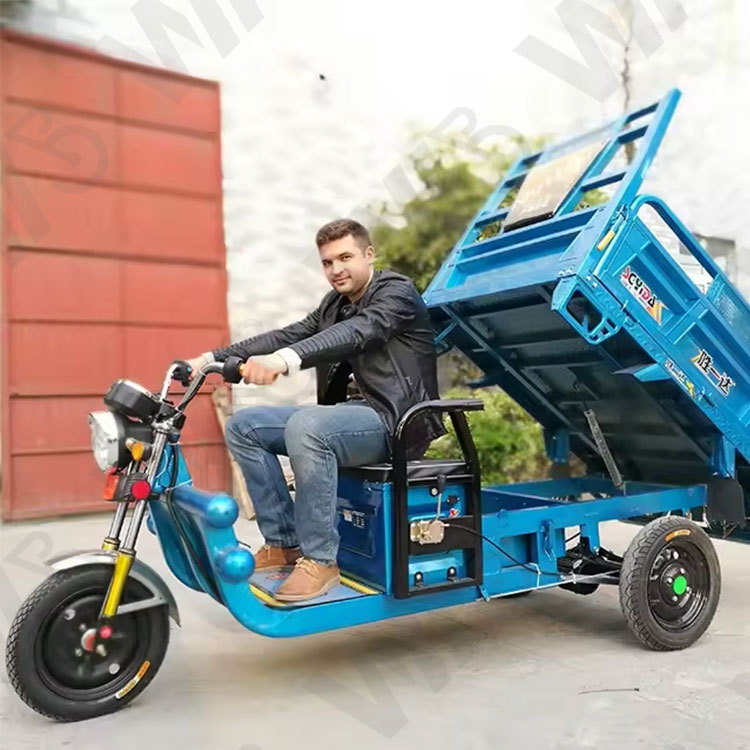 2024 Wholesale High Quality Three Wheels Electric Truck Cargo Tricycle Motorcycle