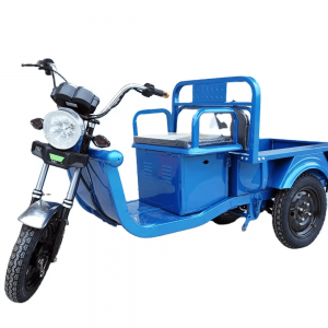 1 2024 Wholesale 1 Ton Capacity Adults Electric Three Wheels Cargo Tricycle E-Trikes Family Use
