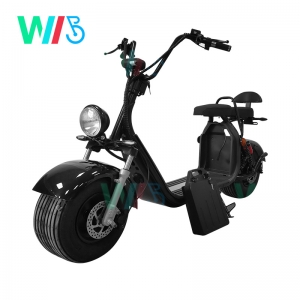  WKC2-1 High End Harley Citycoco1500W / 2000W EEC Electric Motorcycle Scooter