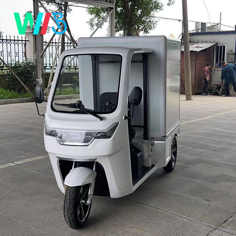 EEC Electric Car Approval Tuk Tuk Electric Cargo Car 38km/H 1seater Express Delivery Mail Truck/Mail Car/Electric Van