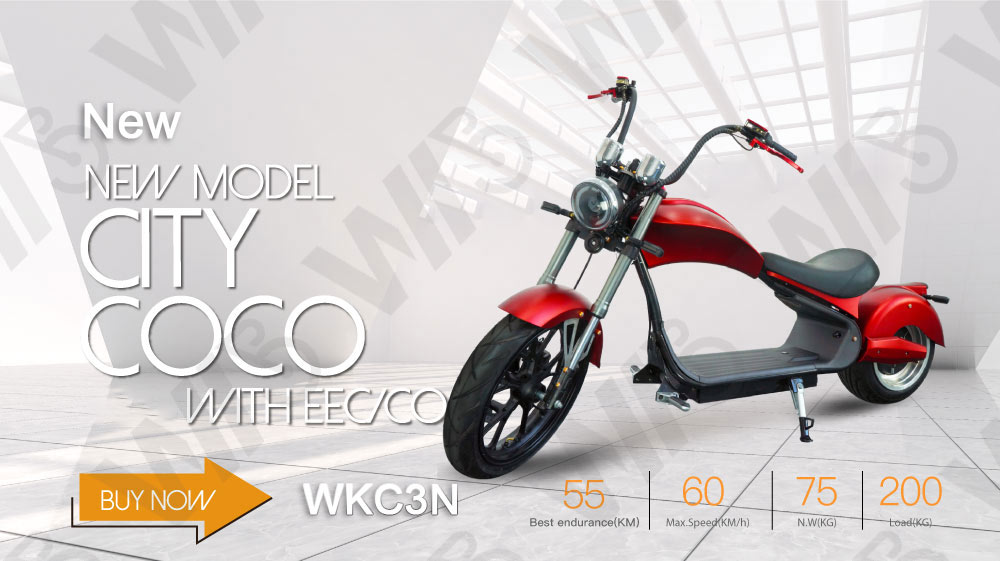 Electric Scooters Motorcycle 