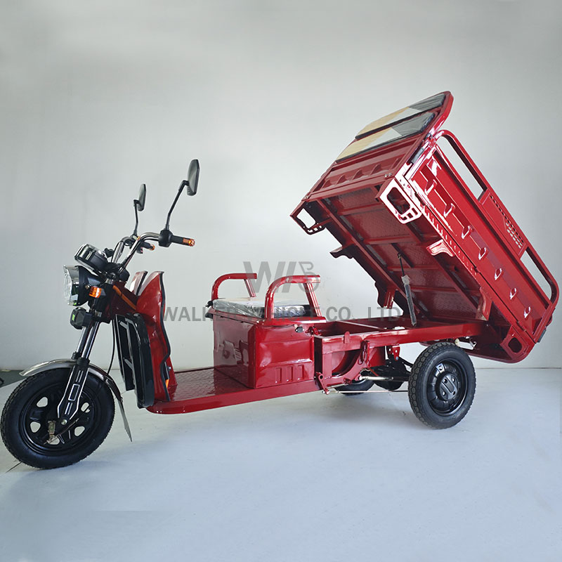 Delivery Cargo Express Country Farm Freight Village Traffic Tool Shipment Transport Three Wheels Electric Pickup Truck Tricycles