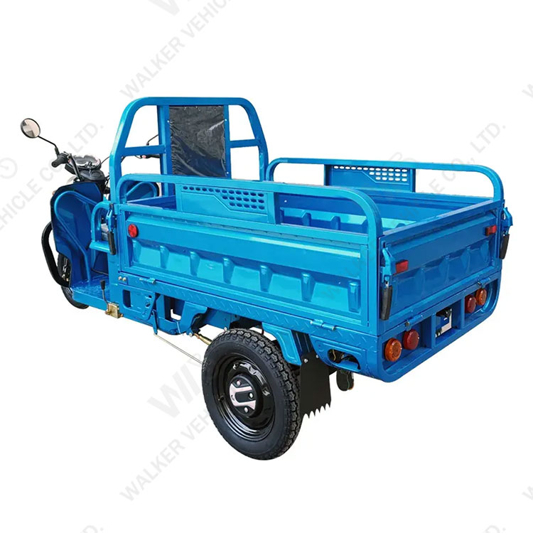 China Supply EEC COC 45km/h Much Safety and Popular 60V 1000W 3 Gear Speed Electric Tricycle for Cargo