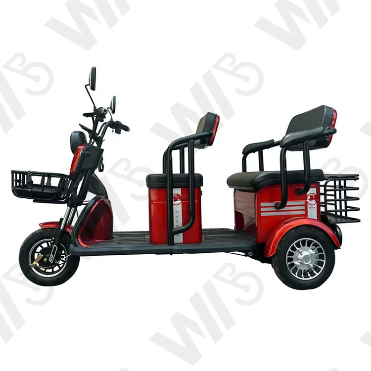 800w 1000w 48v 60v 20ah Electric Passager Tricycle Tourist Fashion Tricycle Scooter with Lead Acid Battery