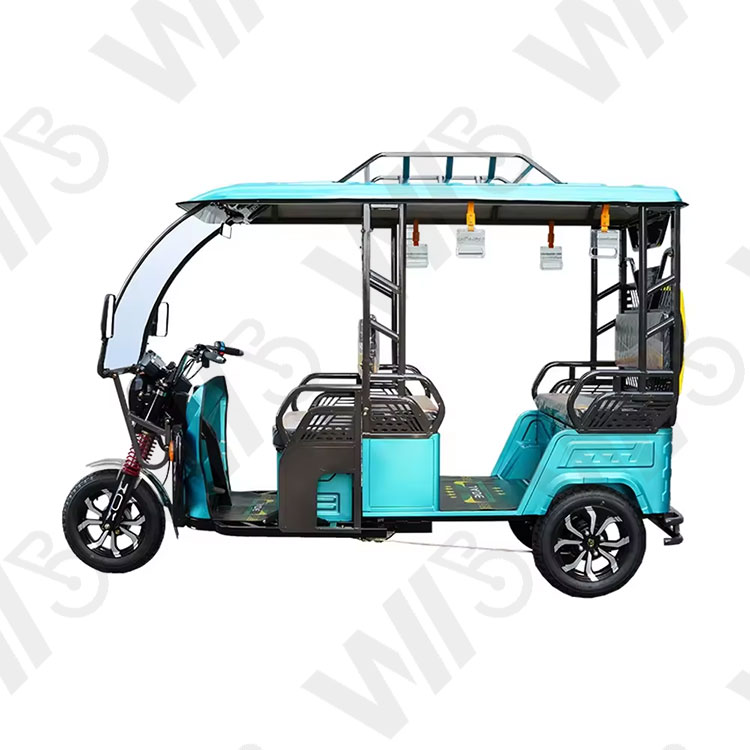 New Style Passenger Electric Tricycle For Adult Long Distance 100KM 800W Power Fat Tire Passenger Electric Tricycle Cargo