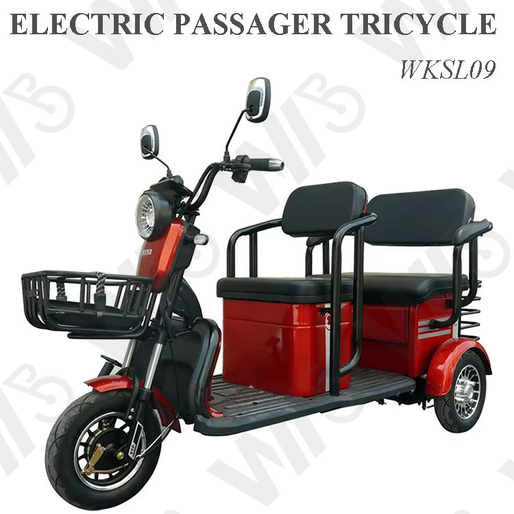 800w 1000w 48v 60v 20ah Electric Passager Tricycle Tourist Fashion Tricycle Scooter with Lead Acid Battery