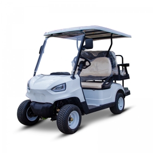 Z Series 2-Seat Electric Golf Cart